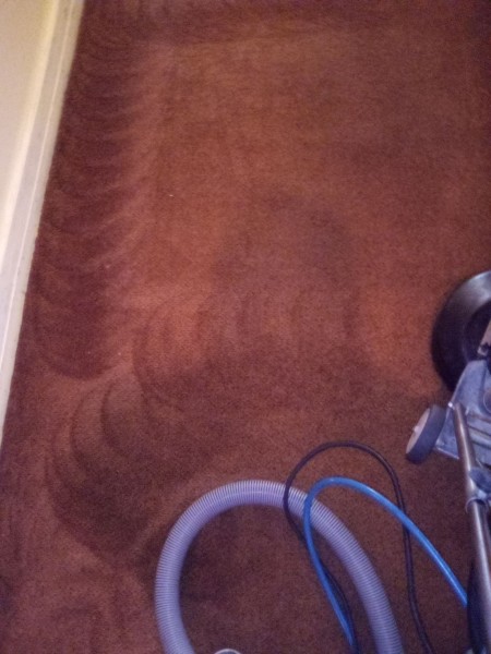 Carpet Cleaning in Sewell, NJ (1)